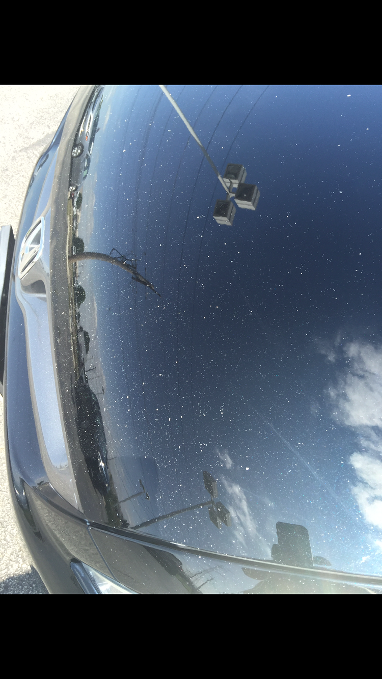 Car paint restoration before and after